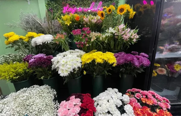 SweetPetals A&H Flowers Gallery 1