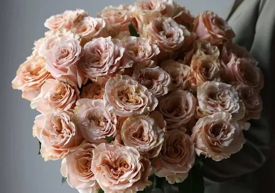 Lucy’s Flowers Gallery 2