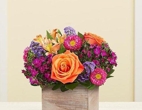 Empathy Flowers Gallery 3