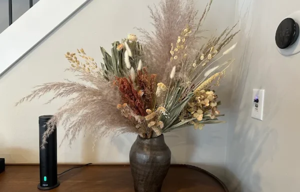 Lucy’s Flowers Gallery 3