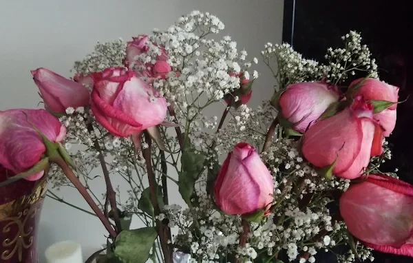 Fiori Flowers Gallery 2