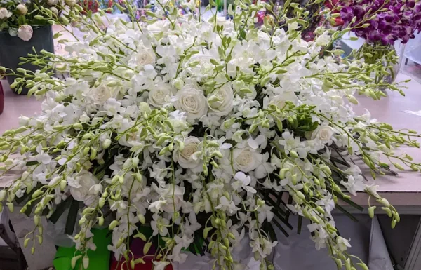 Jasmine’s Floral Design Gallery 1