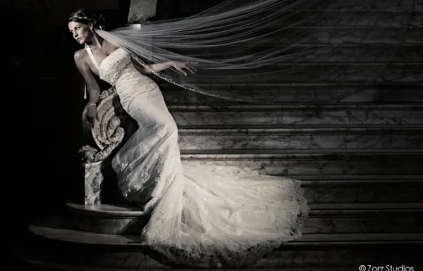 Zorz Studios Gallery 3