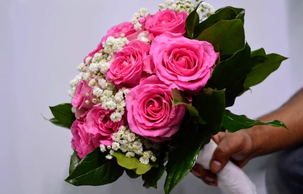 Tizarah & Co Gallery 2