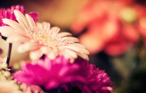 Bailstone Flower Shop Gallery 3