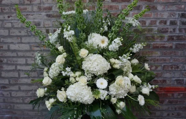 Petal and Stem Gallery 2