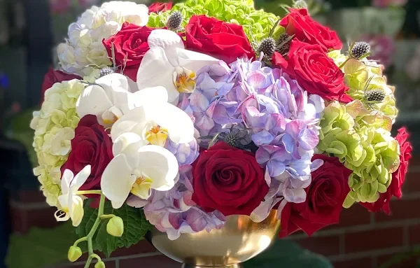 Golden Petals Studio Gallery 3