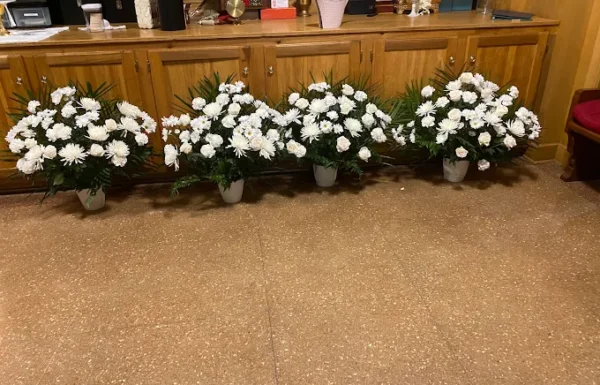 Frankie’s Discount Flowers Gallery 0