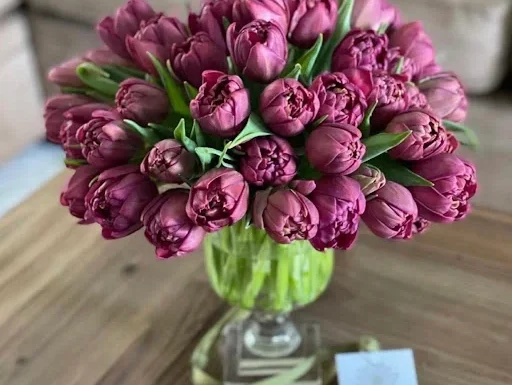 Beautiful Flowers Gallery 1