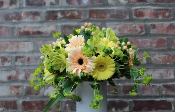 Petal and Stem Gallery 4