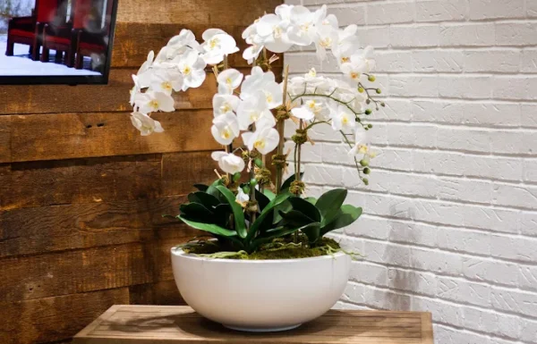 QG Floral & Landscape Gallery 3