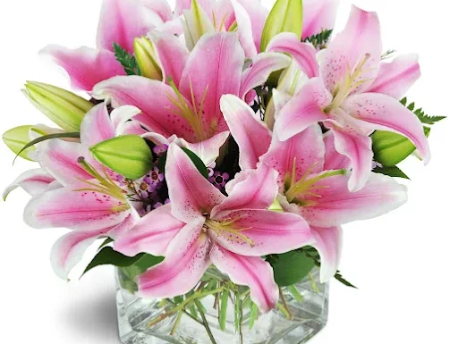 Creations de Belle Gallery 0