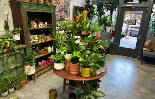 James Weir Floral Co Gallery 4