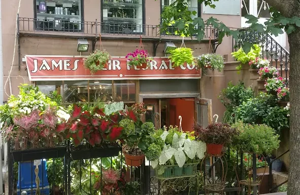 James Weir Floral Co Gallery 3