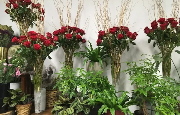 James Weir Floral Co Gallery 1