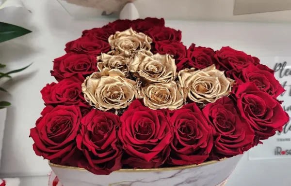 iRoses New York Gallery 1