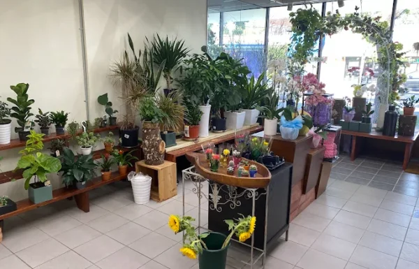 Parsons Floral Gallery 4