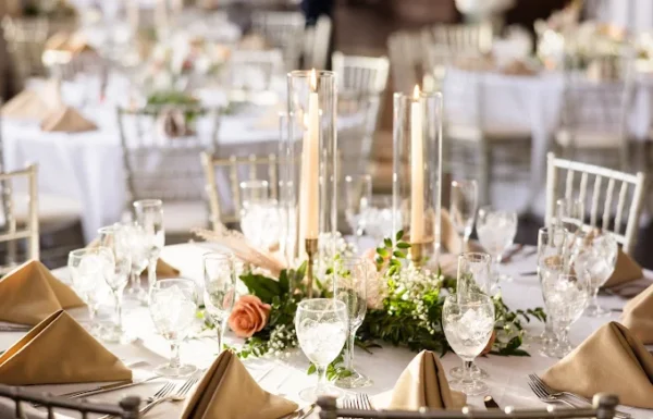 Black Dahlia Gallery 0