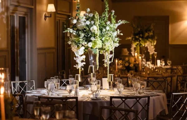 Black Dahlia Gallery 2