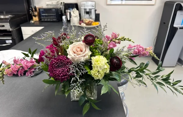 Black Dahlia Gallery 3