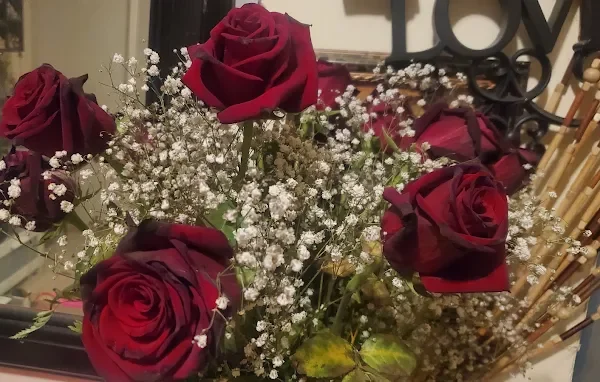 Beautiful Flowers Gallery 2