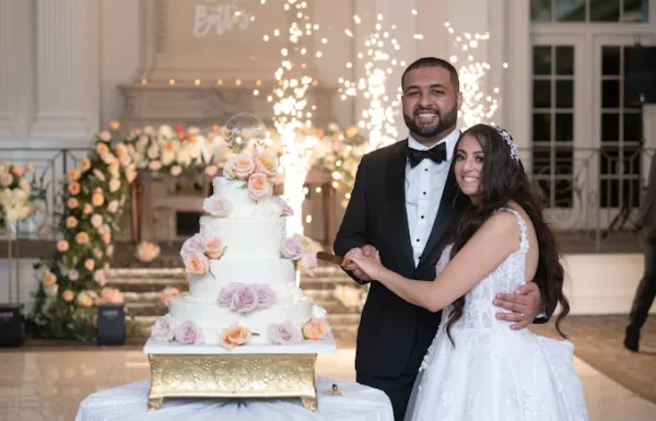 Mansi Studios Gallery 0