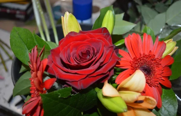 Tizarah & Co Gallery 3