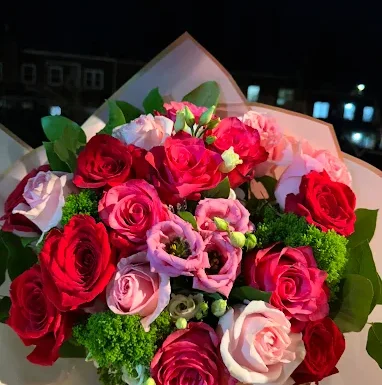 Lilac Flowers Gallery 2