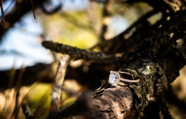 Iannelli Diamonds Gallery 1