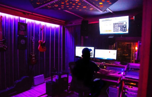 Viola Media Gallery 0