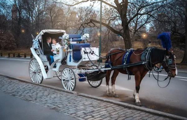 Prestige Video Productions Gallery 1