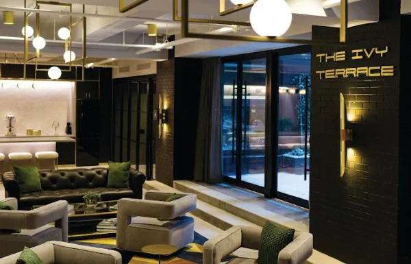 Ivy Terrace Gallery 1