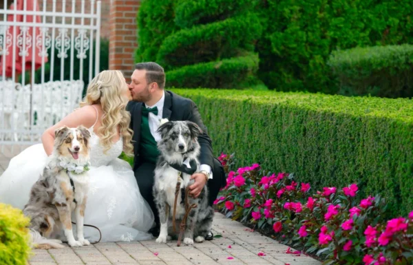 Ashley Film Studios Gallery 3