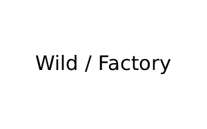 Videographer Listing Category Wild / Factory