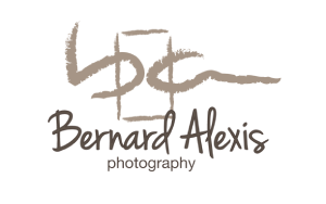 Videographer Listing Category Bernard Alexis Photography