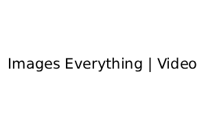 Videographer Listing Category Images Everything | Video