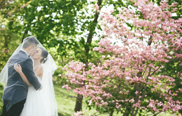 Celebrate at Snug Harbor Gallery 2