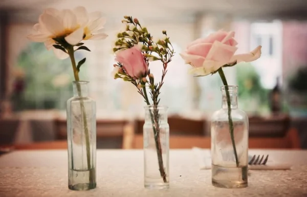 Belinda Video Productions Gallery 1