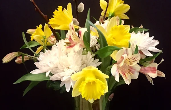 Clarke’s Garden Gallery 1