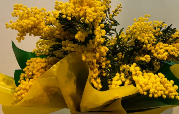 Buunch Flower Gallery 2