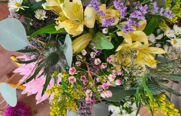 Chrysanthemum: Rare Teas Gallery 3
