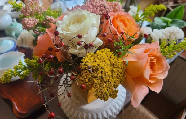Chrysanthemum: Rare Teas Gallery 0