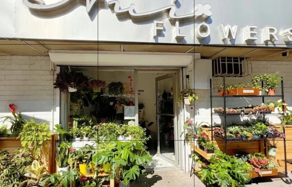 Hui Flowers Gallery 4