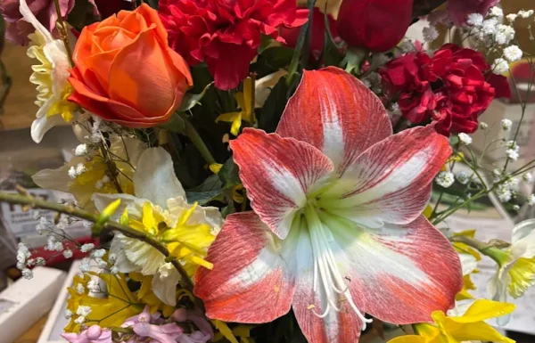 Malkmes Florists Gallery 0
