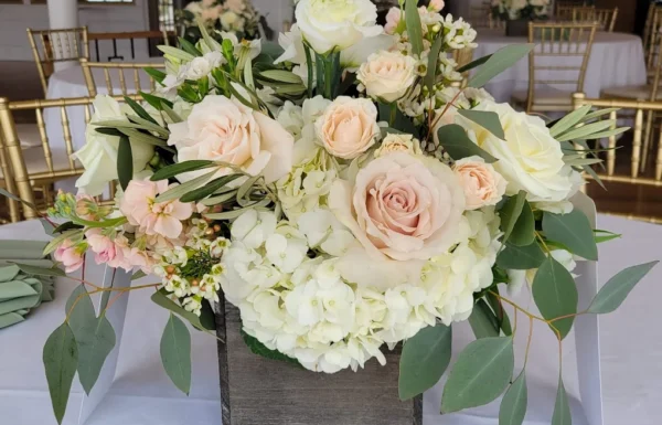 The Flower Petaler Gallery 2