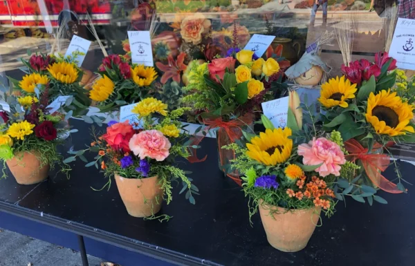 The Flower Basket Gallery 3
