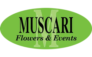 Florist Listing Category Muscari Flowers & Events