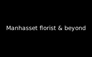 Florist Listing Category Manhasset Florist & Beyond
