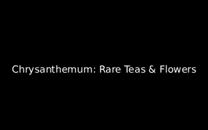 Florist Listing Category Chrysanthemum: Rare Teas