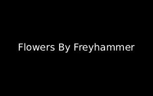 Florist Listing Category Flowers By Freyhammer